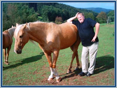 Henk with two palomino's at Wing Walker Farm - A New Golden Time and Buster's Yellow Fellow, a partbred TWH by Lad's Black Buster, out of a German Trotter mare.