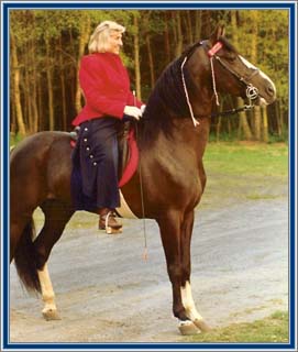 Linda Tellington-Jones showing off her new riding clothes on Buster.
