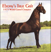 1975 WGCh. Ebonys True Grit