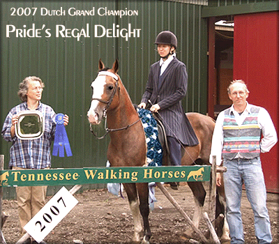 Prides Regal Delight - Dutch Grand Champion 2007