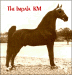 The Impala K.M.
