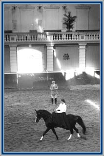In the very heart of Amsterdam, the riding hall of the famous Hollandse Manege, I received side-saddle riding instruction by Mr. Aafjes, on Lad's Black Buster.
