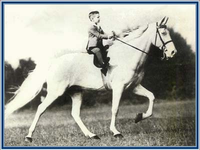 Vintage photo of a Tennessee Walking Horse with a happy child in the irons.