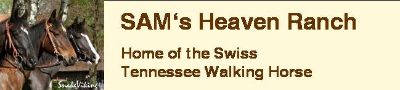 SAM's Heaven Ranch - home of the Swiss Tennessee Walking Horse