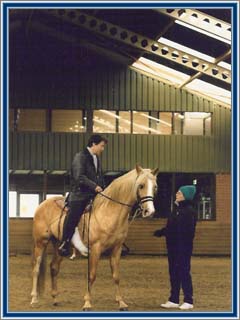 On Buster's Fair Leroy, I received advice from Diane Gueck, American TWH trainer from Cheveaux Stables in Oregon.